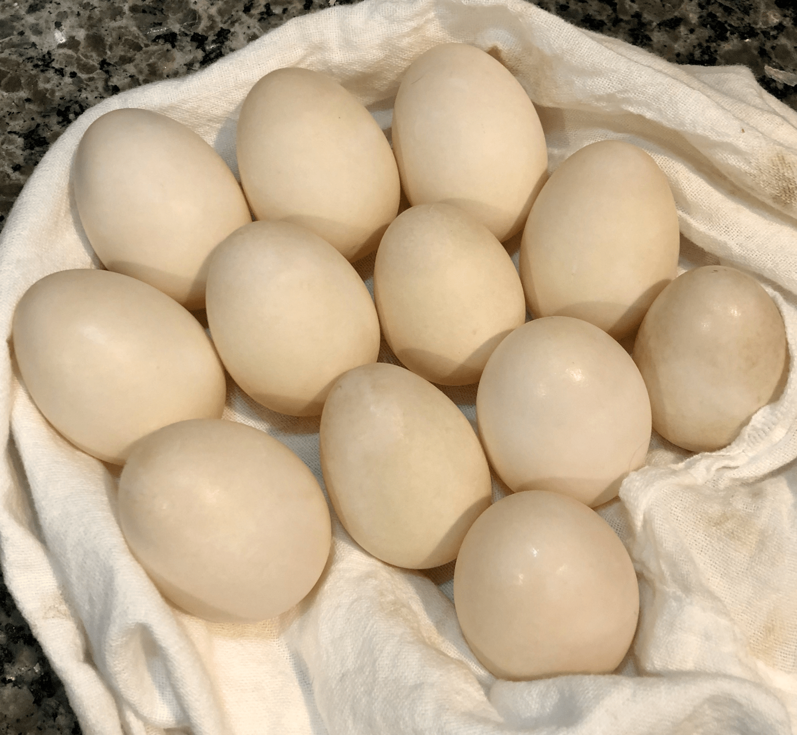 One Dozen White Duck Eggs Market Wagon Online Farmers Markets