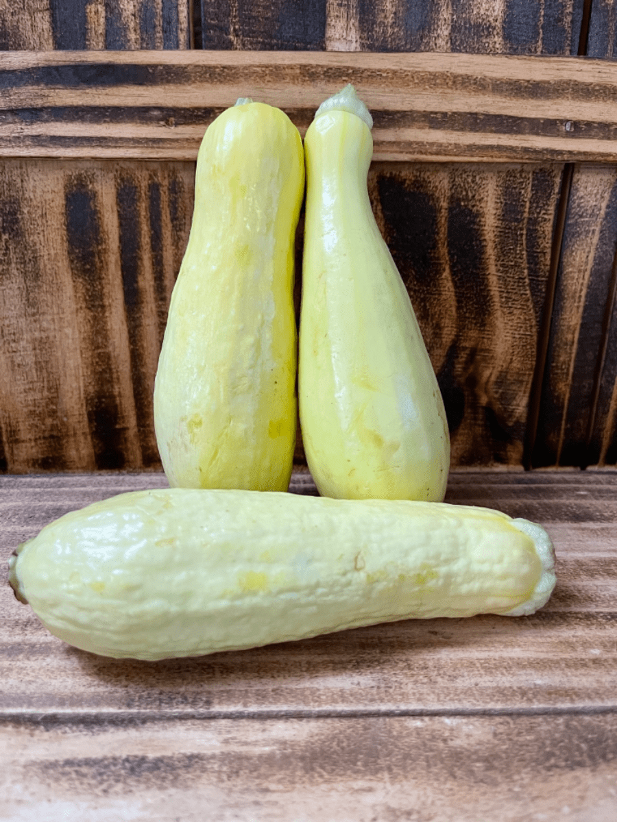 Straight Neck Squash Market Wagon Online Farmers Markets & Local