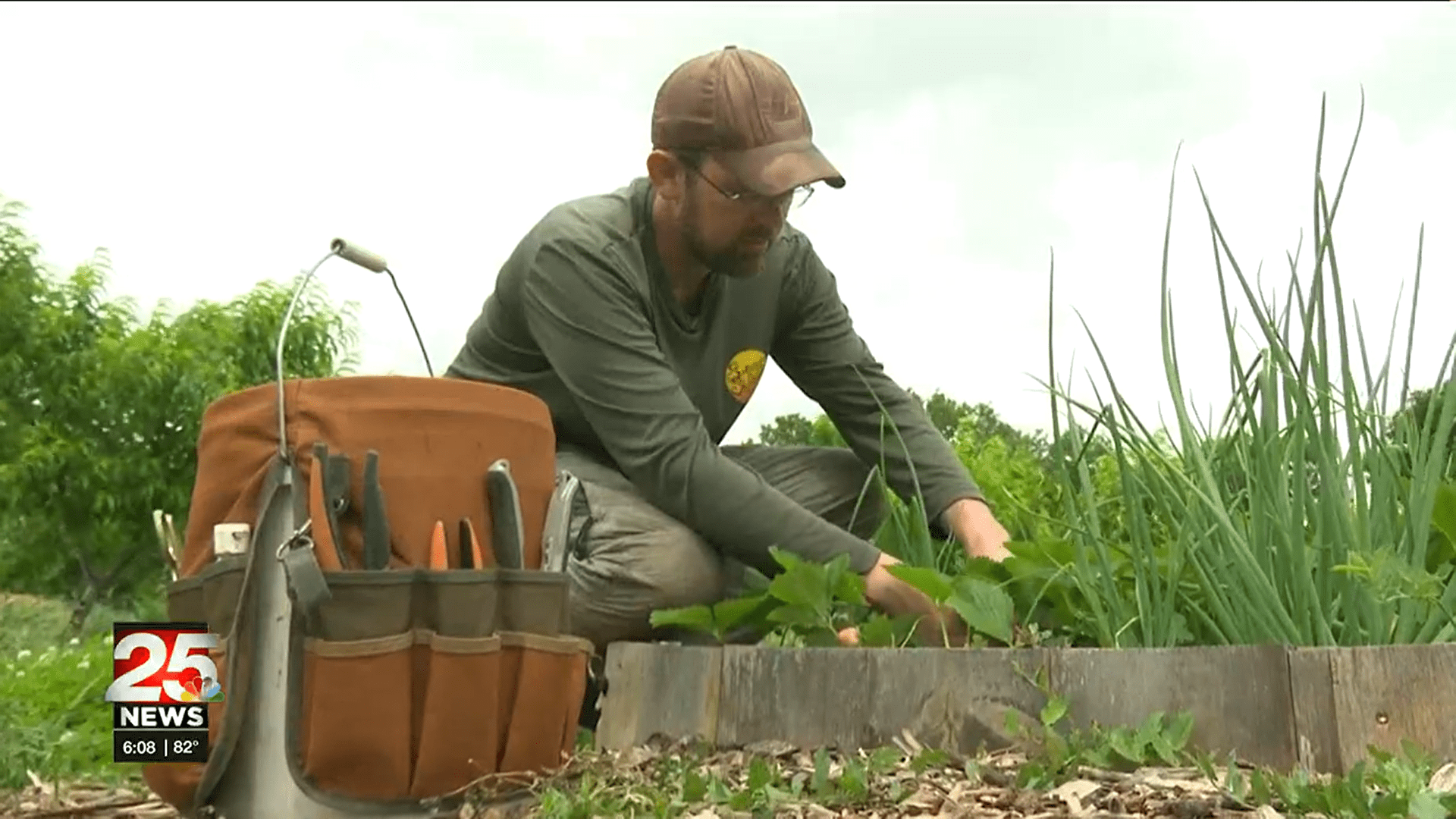 Market Wagon Online Farmers Markets & Local Food Delivery