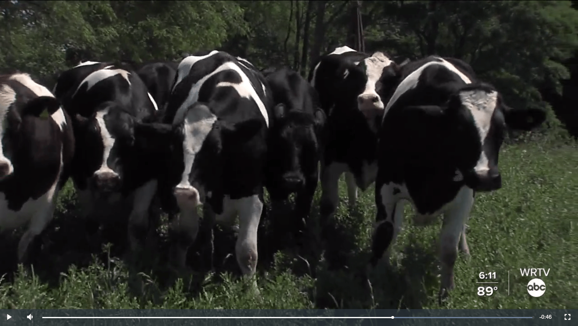 Market Wagon Online Farmers Markets & Local Food Delivery