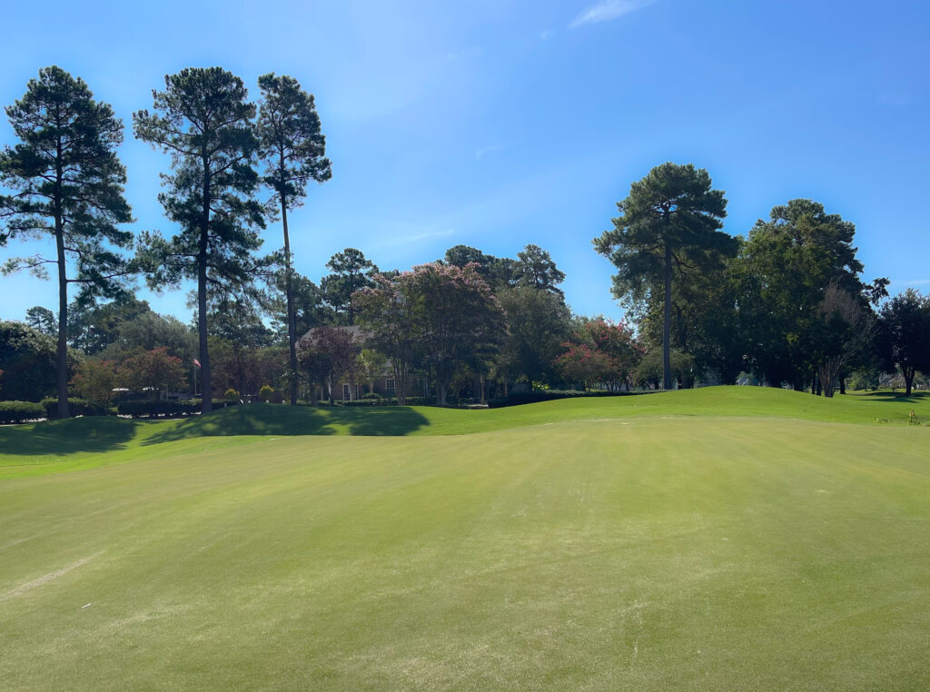 Long Bay Golf Club Reopens Following Greens Restoration Project
