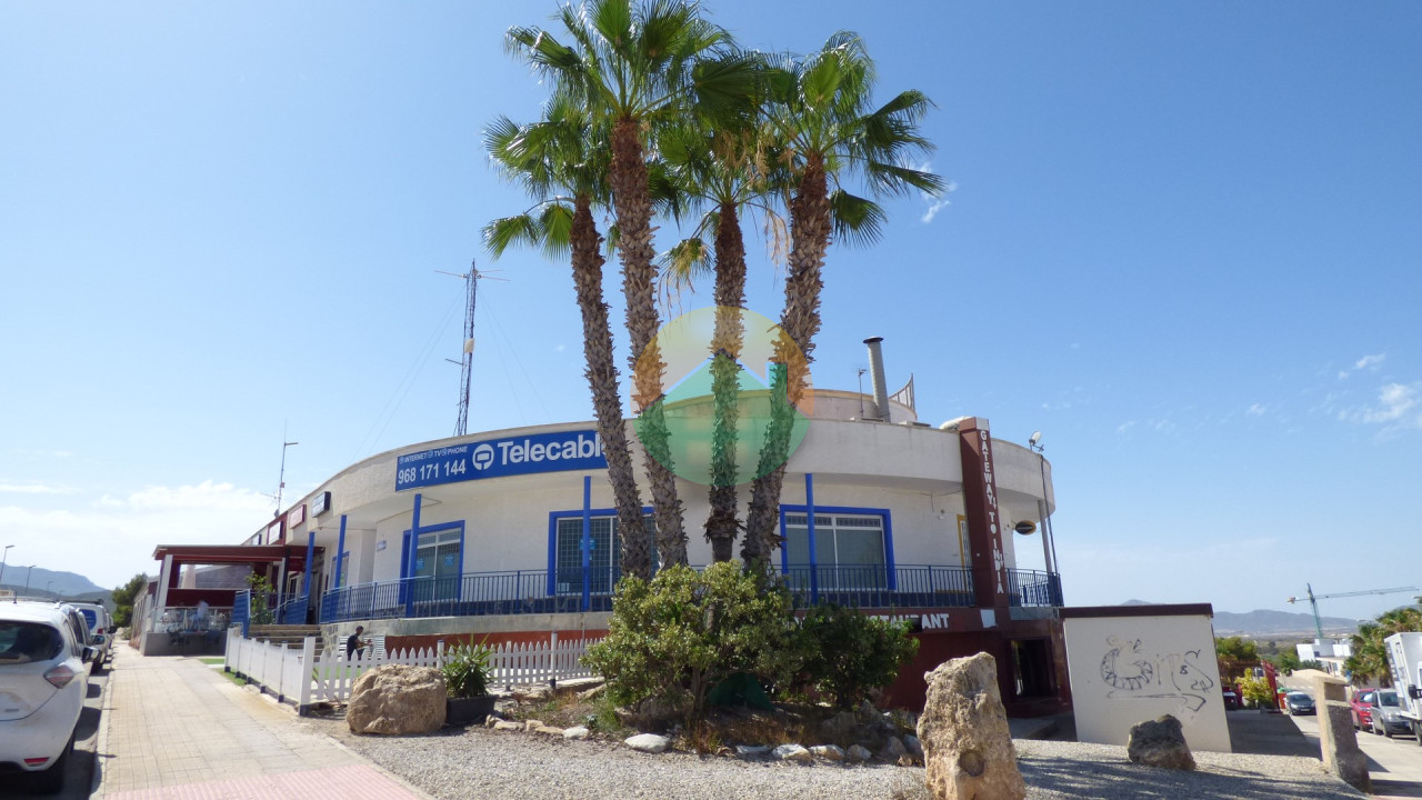 COM03 Commercial Property For Sale in Camposol Mercers