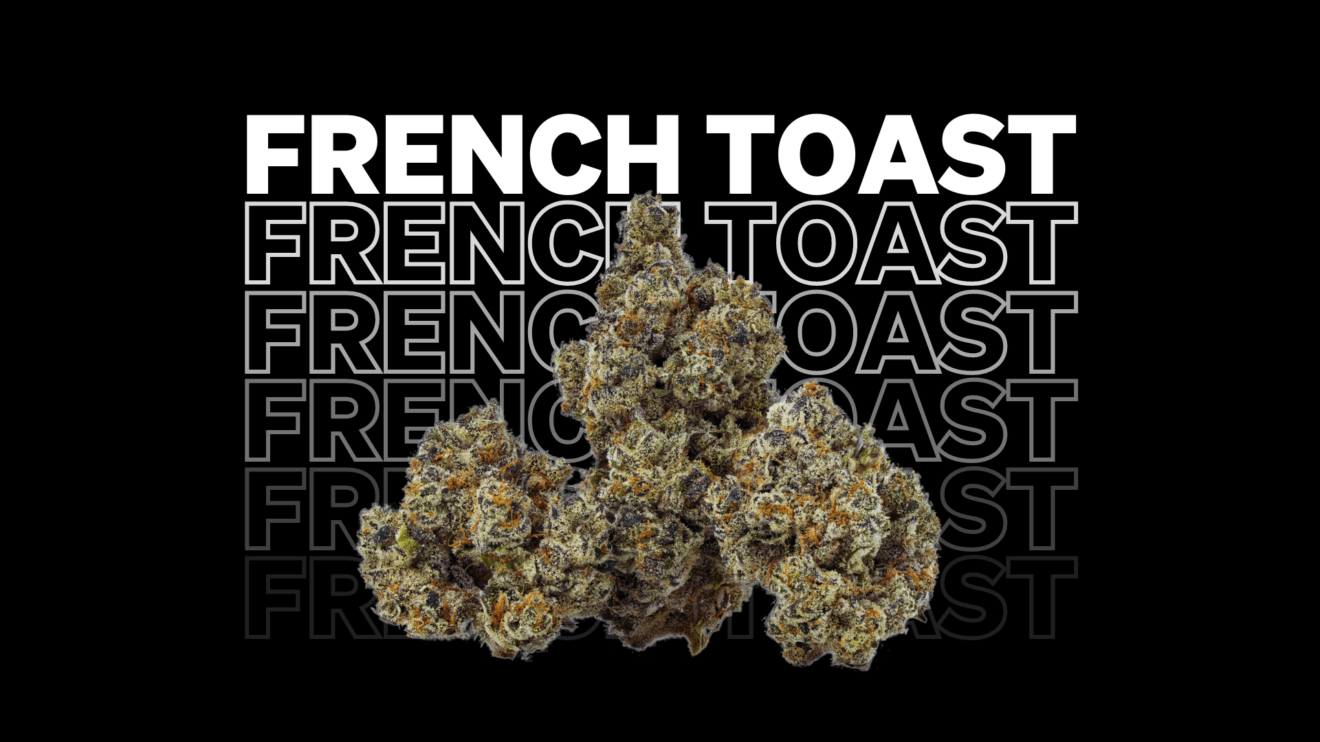 French Toast Cannabis Strain French Toast Strain FAQs