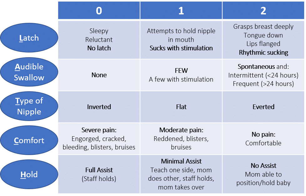 Nutrition Nclex Questions Quizlet Home Alqu