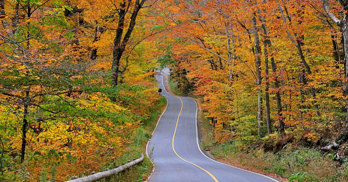 Take These 7 Country Roads In Massachusetts For A Scenic Drive