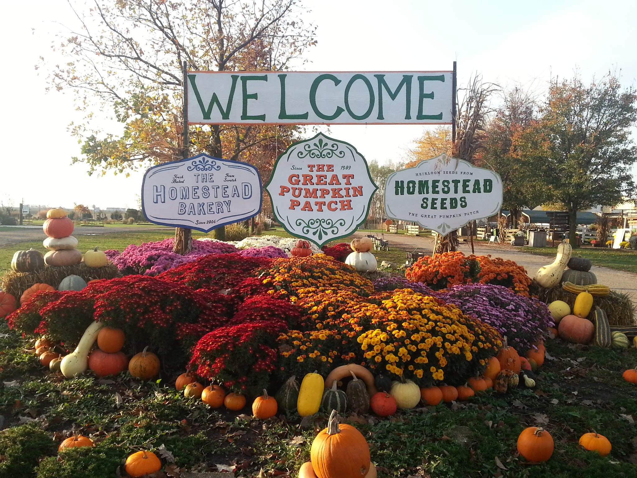 Nothing Says Fall Is Here More Than A Visit To This Charming Illinois