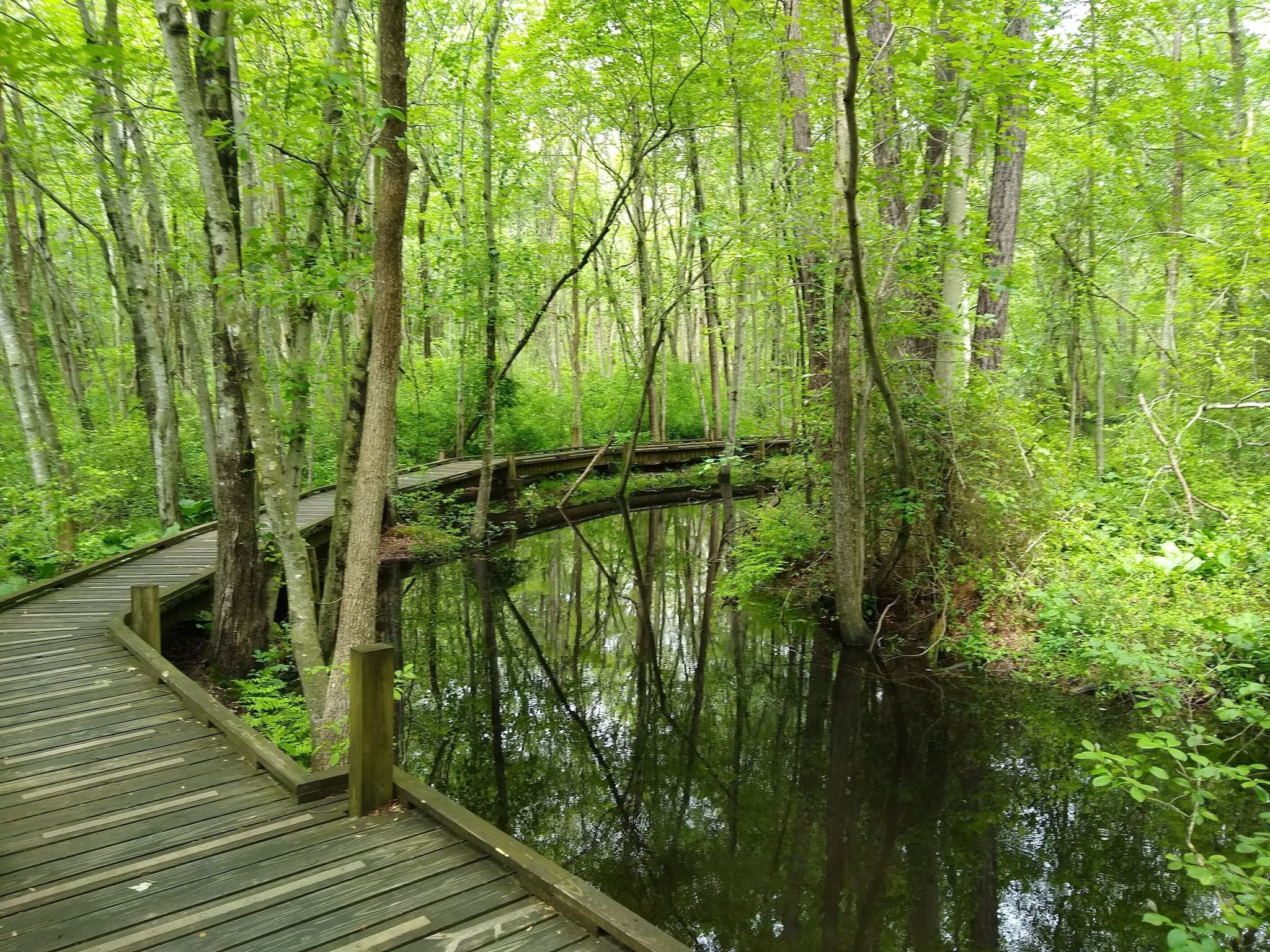 Abbotts Pond Is The Best Trail You’ve Never Heard Of In Delaware