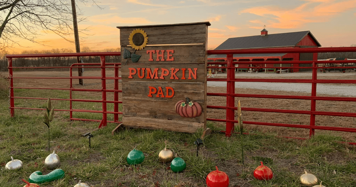 The Largest Pumpkin Patch In Missouri Is A MustVisit Day Trip This Fall