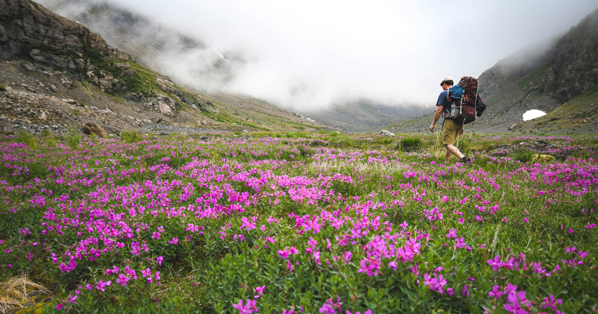 The Best Small Town Getaway In Alaska Best Things To Do In Homer