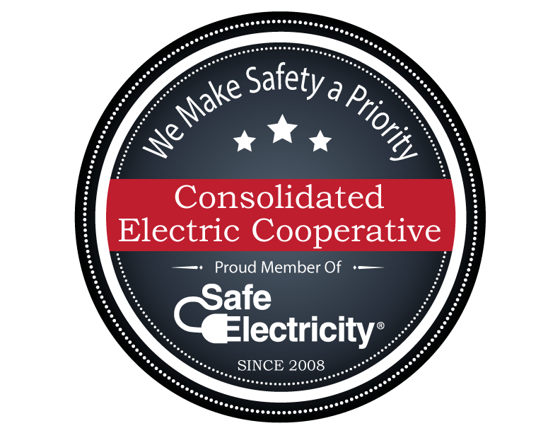 Safe Electricity