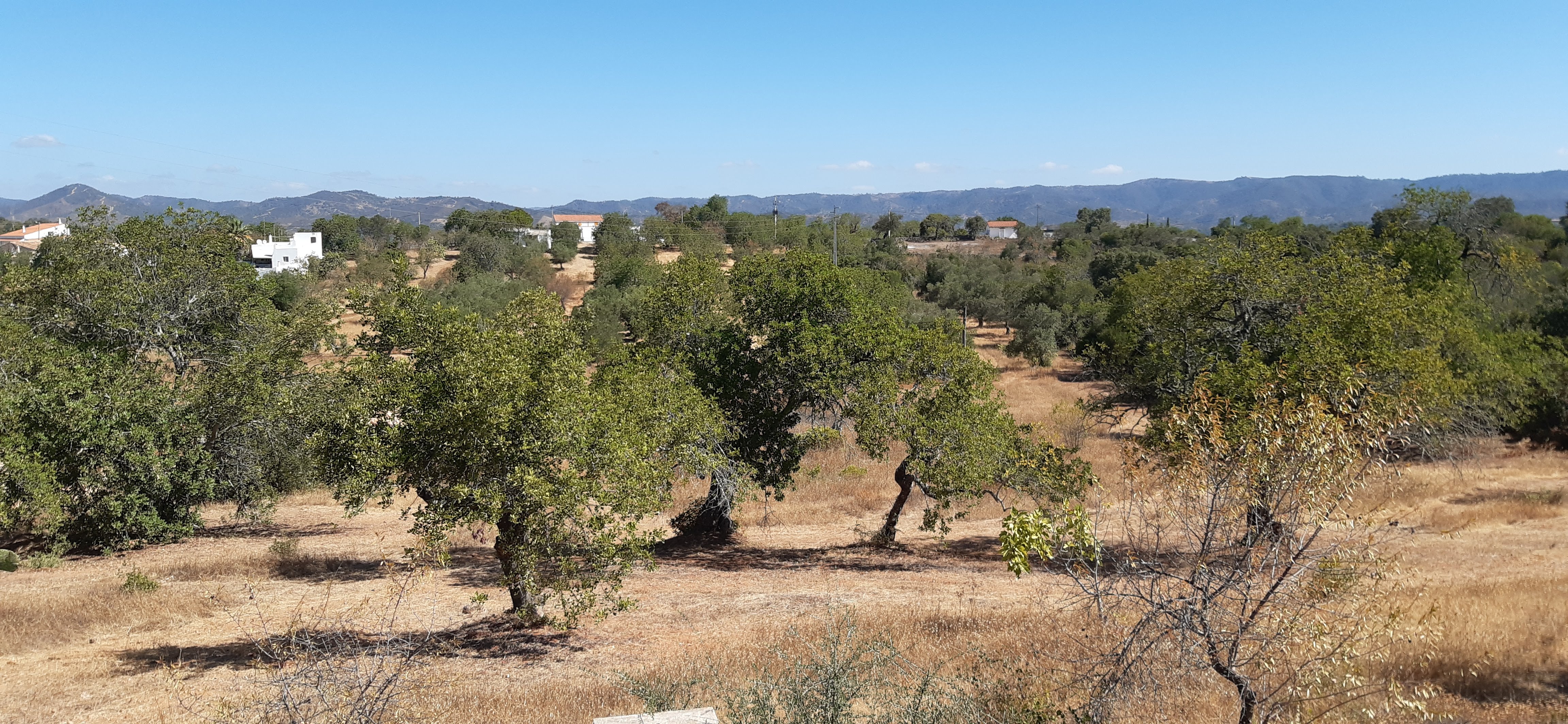 Azul PropertiesAlgarve Property for Sale in Boliqueime, Loule, S.Brás