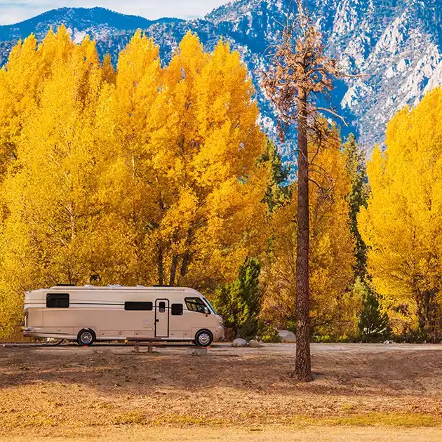 Jackson Hole Local RV Parks
