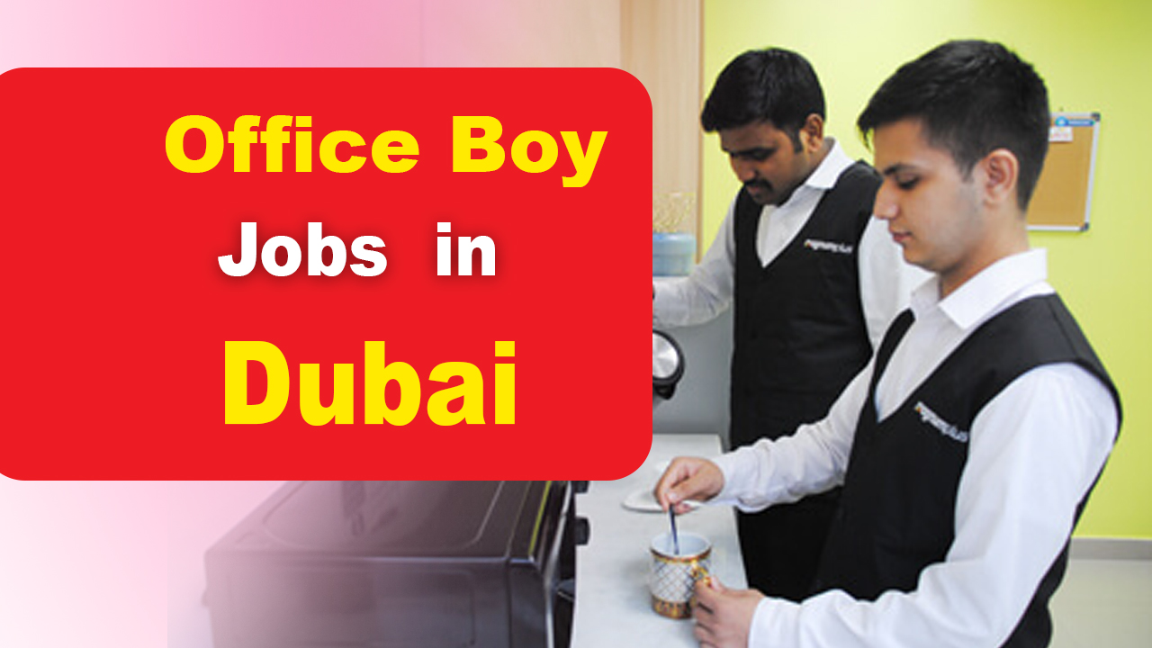 Office Boy Jobs in Dubai for Freshers Dubai Urgent Vacancies 2024