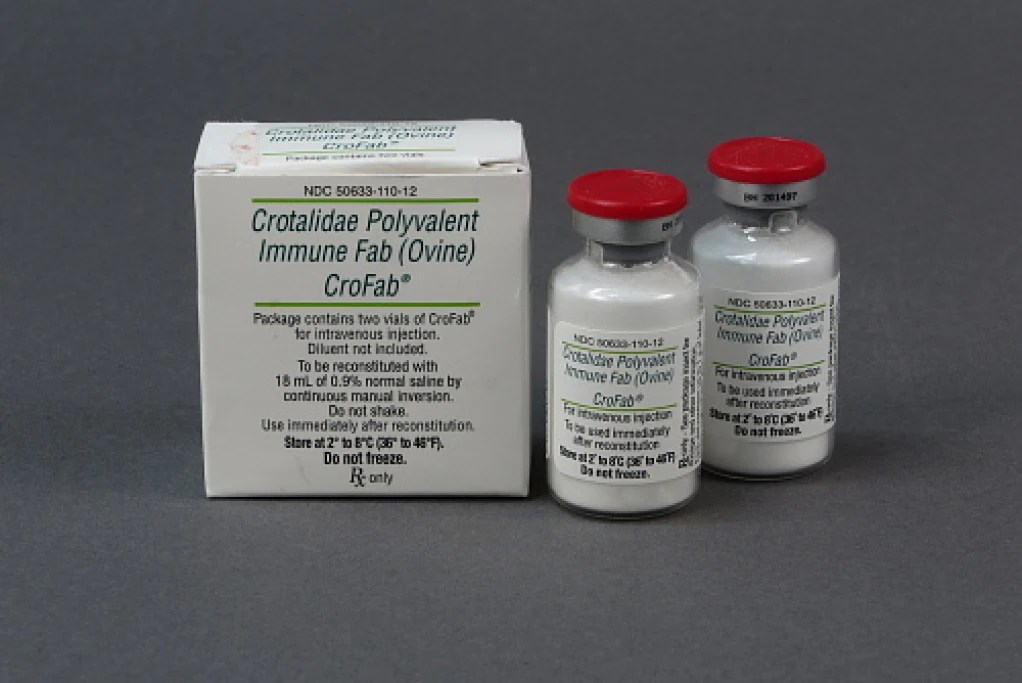 Aweil Center records 154 snake bite cases, 4 deaths The Radio Community