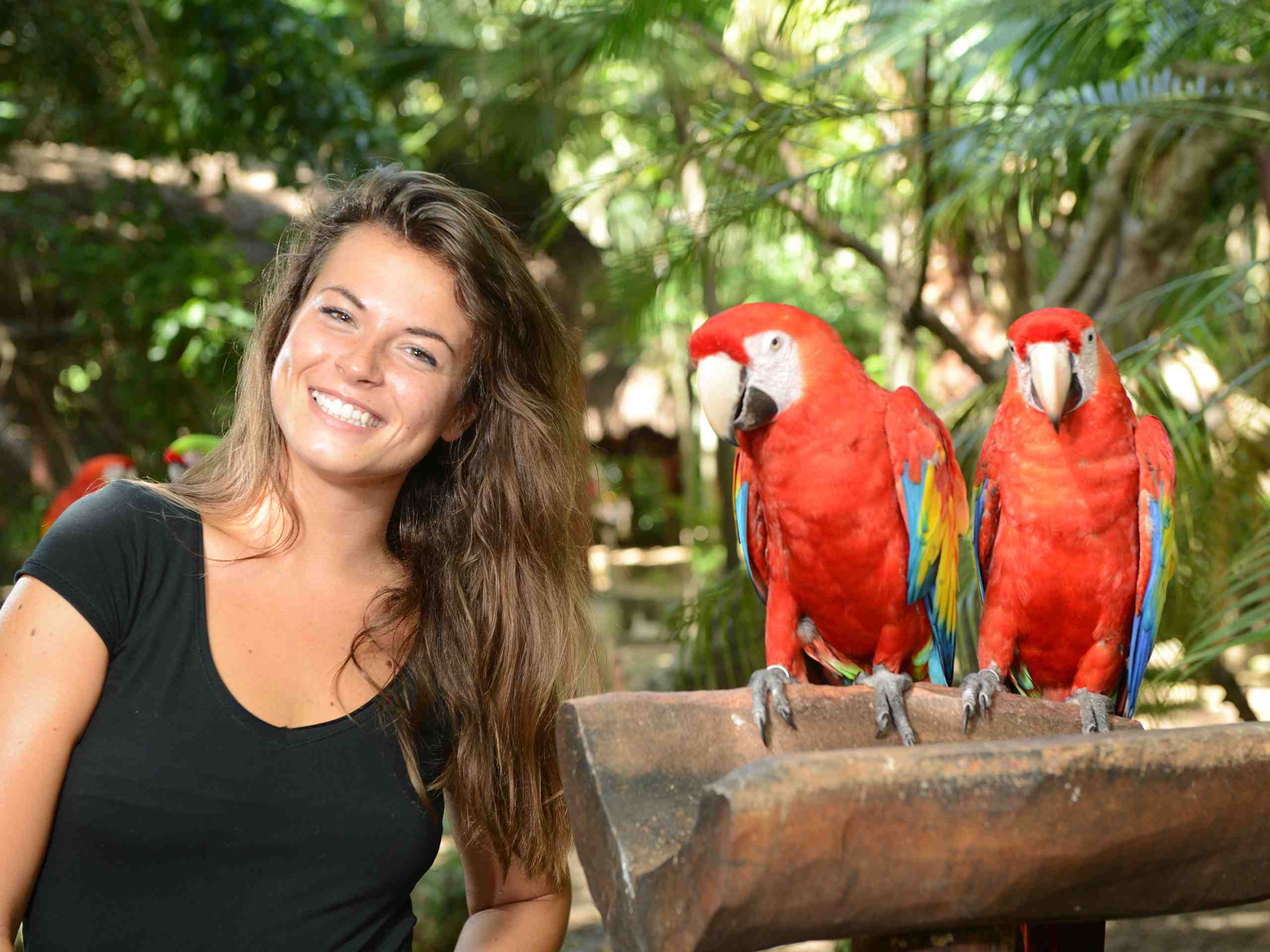 Admission To Xcaret Basic