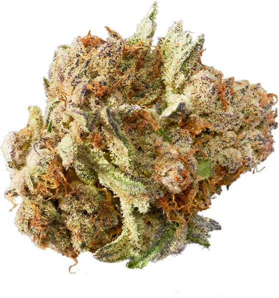 Devil Driver Zen Leaf Dispensaries