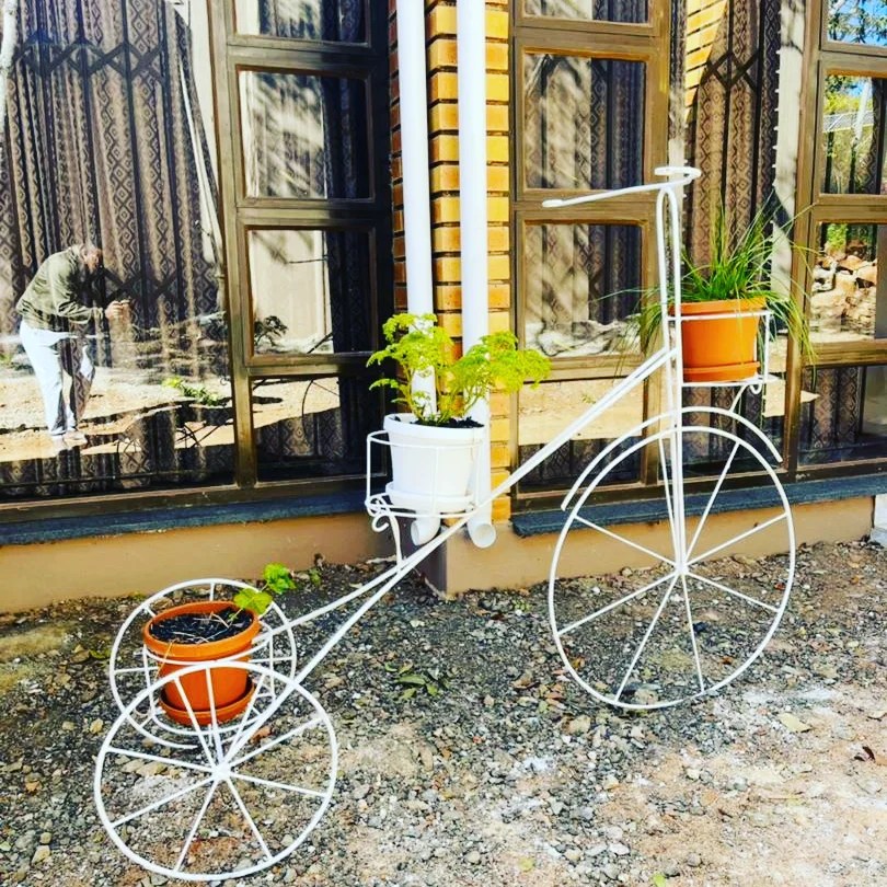 Zano Home & Garden Zimbabwhere