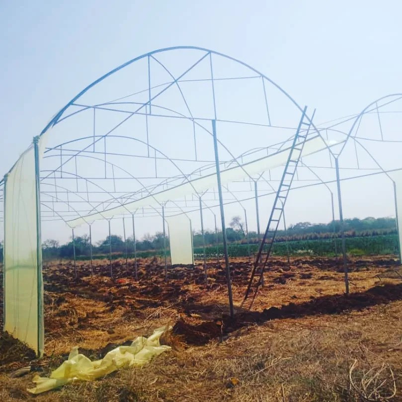 Zano Home & Garden Zimbabwhere