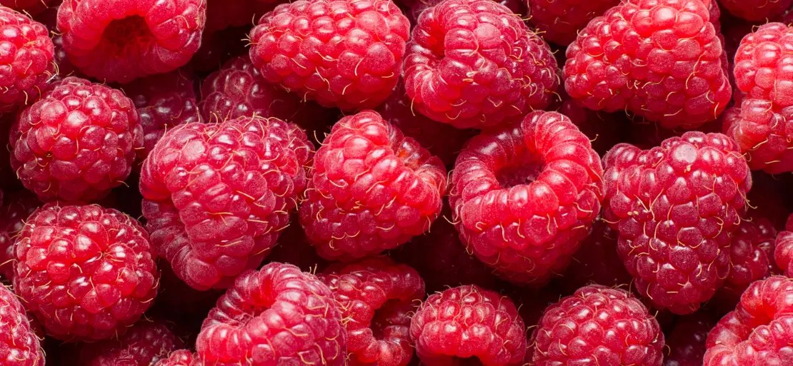 Raspberries Market Need, Overview and Usages