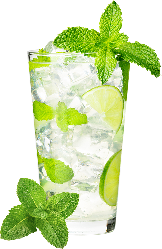 Watermelon Mojito Rum Recipe Admiral Nelson's Premium Spiced Rum
