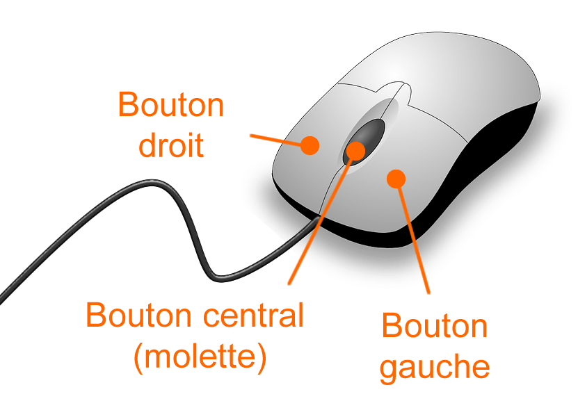 CR Atelier 15 janvier 2017 souris et clavier, copier coller