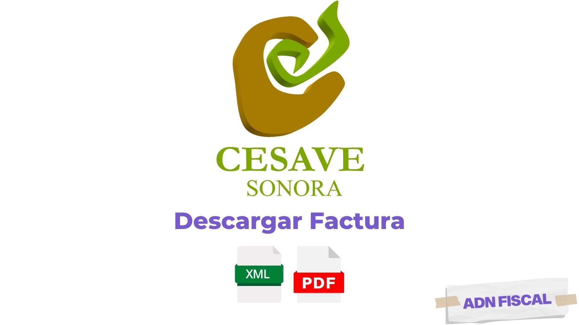 Categoría Facturacion ADN Fiscal