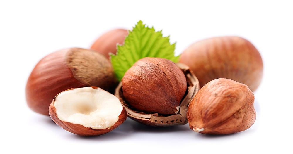 Hazelnut All the Health Benefits Adnoor