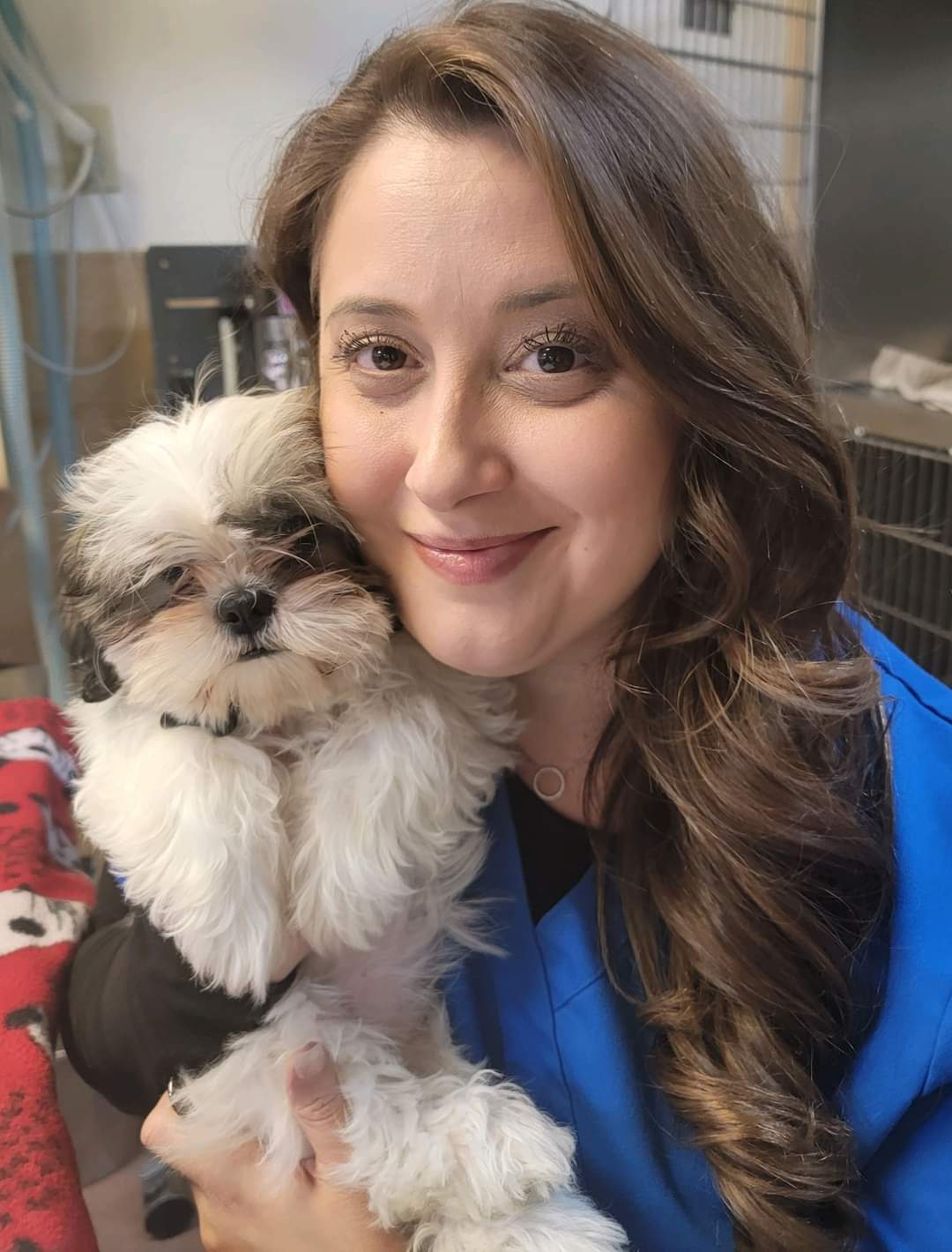 Home Adobe Veterinary Clinic