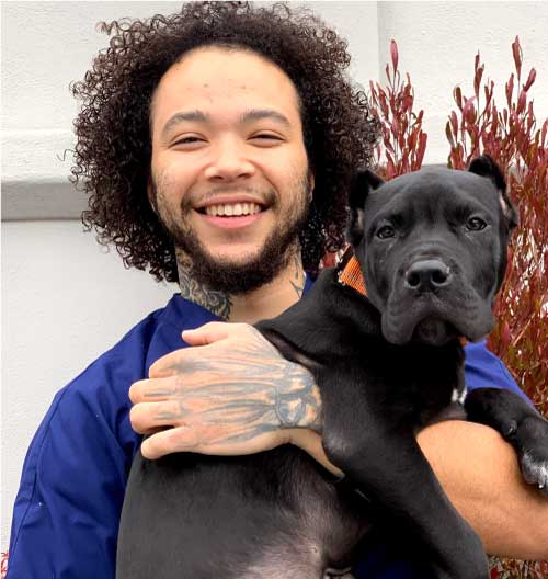 Veterinarian In Santa Cruz, CA Adobe Animal Hospital Of Soquel