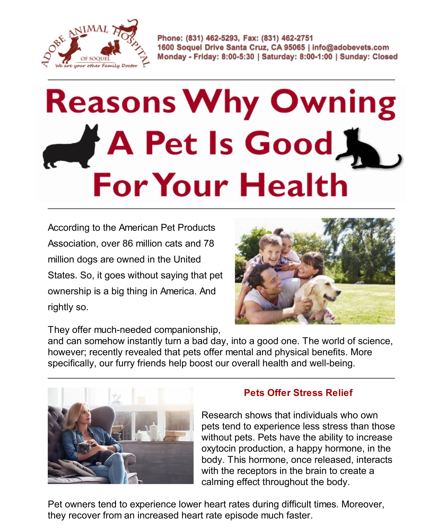 Veterinary Newsletters Adobe Animal Hospital Of Soquel