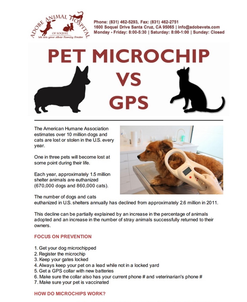 Veterinary Newsletters Adobe Animal Hospital Of Soquel