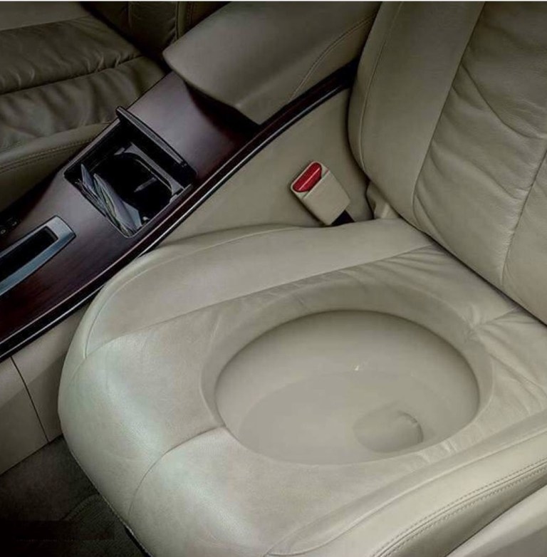 2017 Toyota Model Will Include Toilet Car Seat