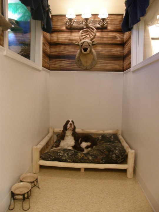 Boarding Pets Grooming