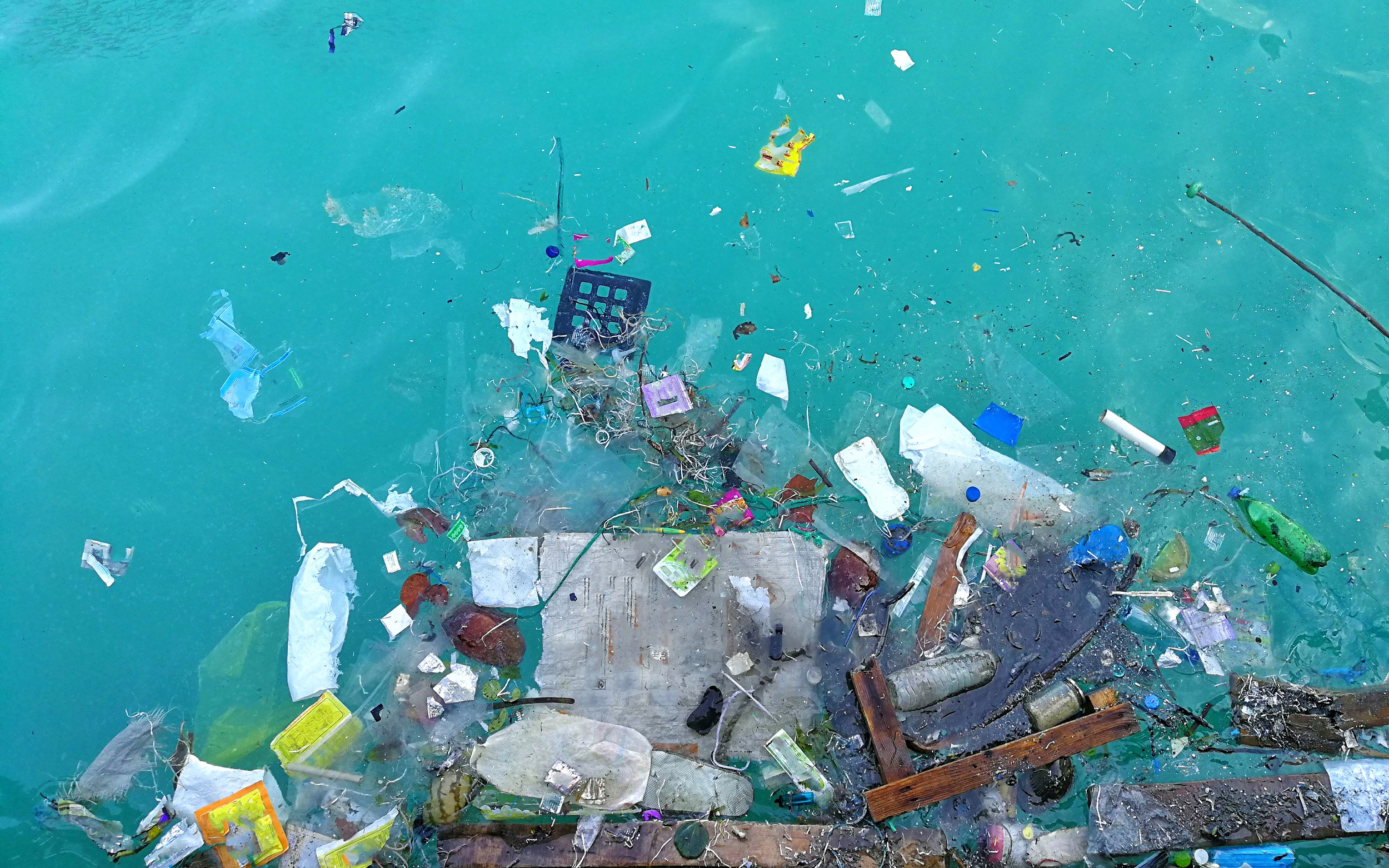 How Does Littering Affect The Environment And Animals at
