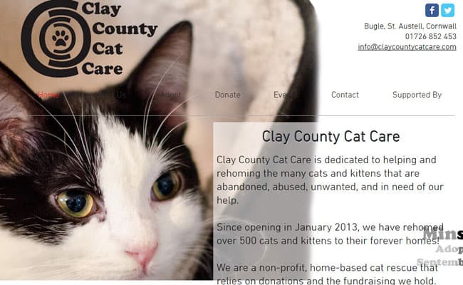 Clay County Cat Care, St. Austell Pet Rescue and Animal Welfare