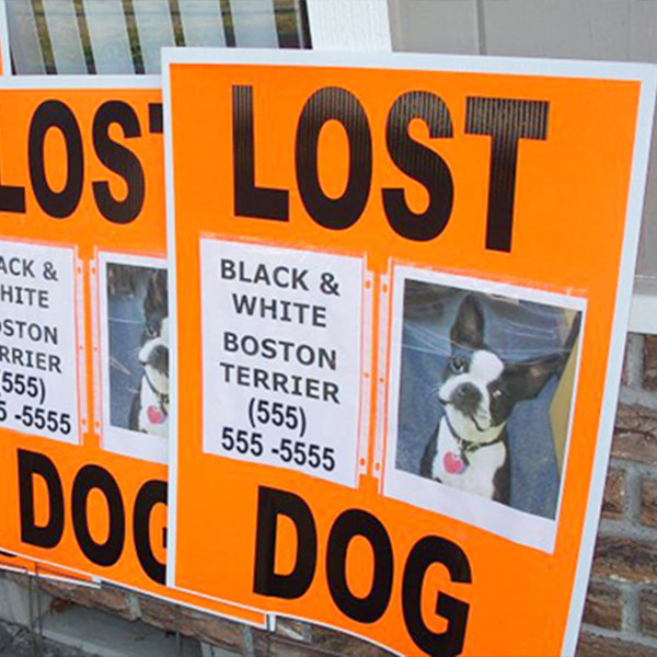 Kanawha Charleston Humane Association Lost a Pet