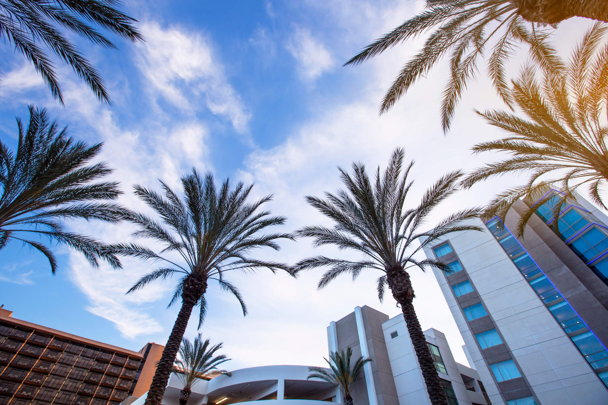 Your Guide to Adoption Agencies in Anaheim, CA Adoption Agencies
