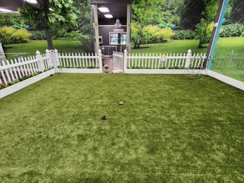 Gallery Adorable Ankle Biters Bed and Biscuit