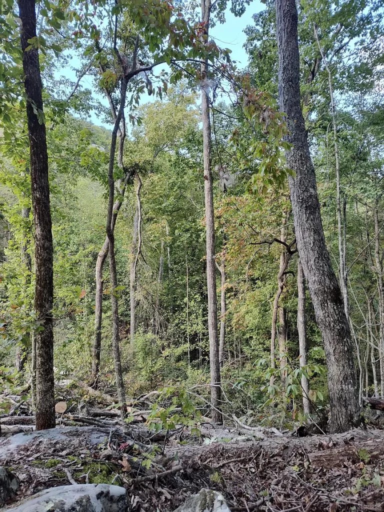 Secluded OffGrid Mountain Retreat with Breathtaking Views (139,000