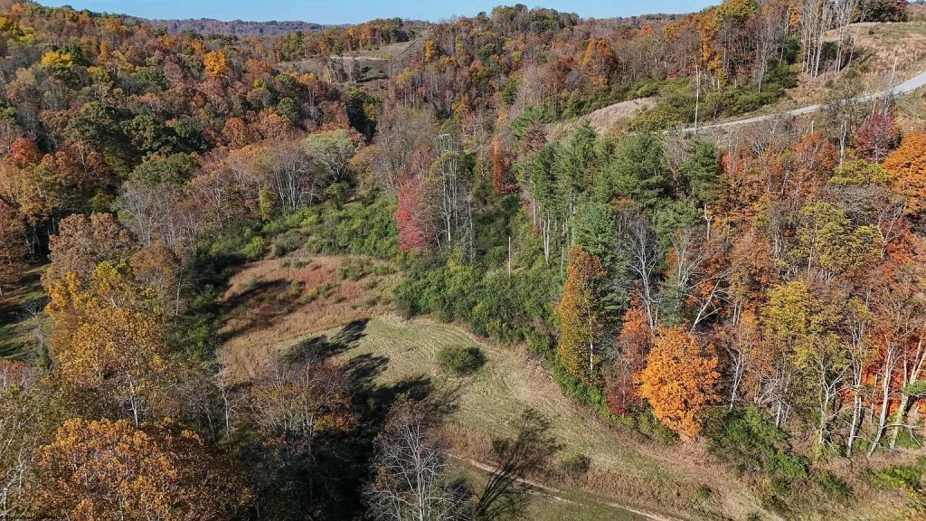 Secluded Wooded Lot with Road Frontage & Endless Potential (103,000