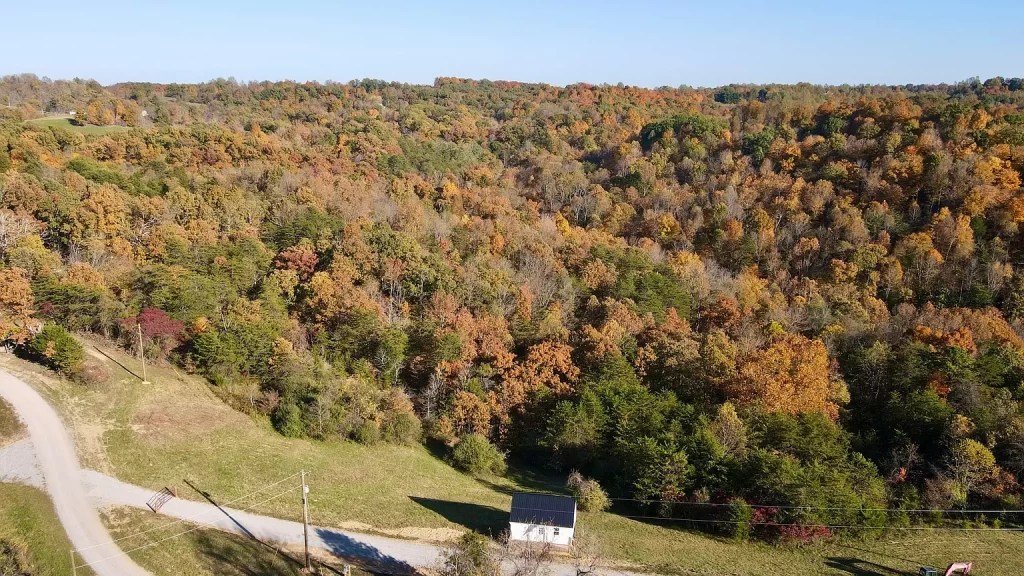 New AmishBuilt Skyline Cabin on 12+ Acres. 129,900 Adorable Living