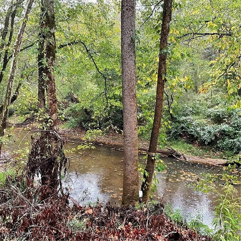 Private Retreat with River Access & Mature Timber on 39.44 Acres