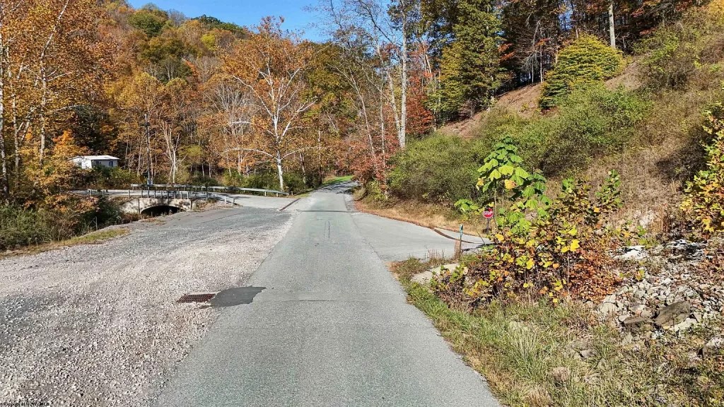 Secluded Wooded Lot with Road Frontage & Endless Potential (103,000