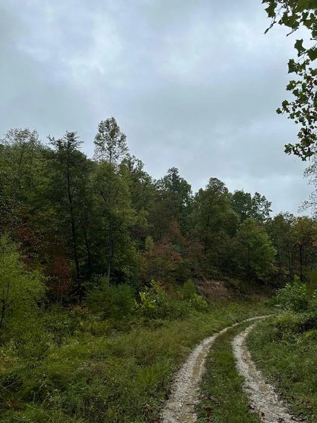 Hunter’s Paradise195 Scenic Acres with Natural Gas Access. 169,900