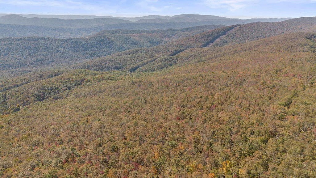 Auction Sale Lot Secluded Retreat on 100 Acres with Stunning Mountain