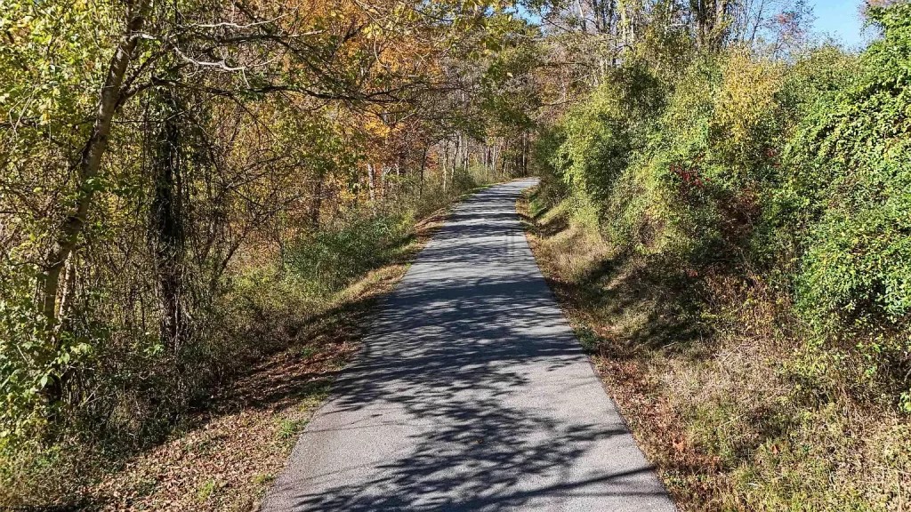 Secluded Wooded Lot with Road Frontage & Endless Potential (103,000