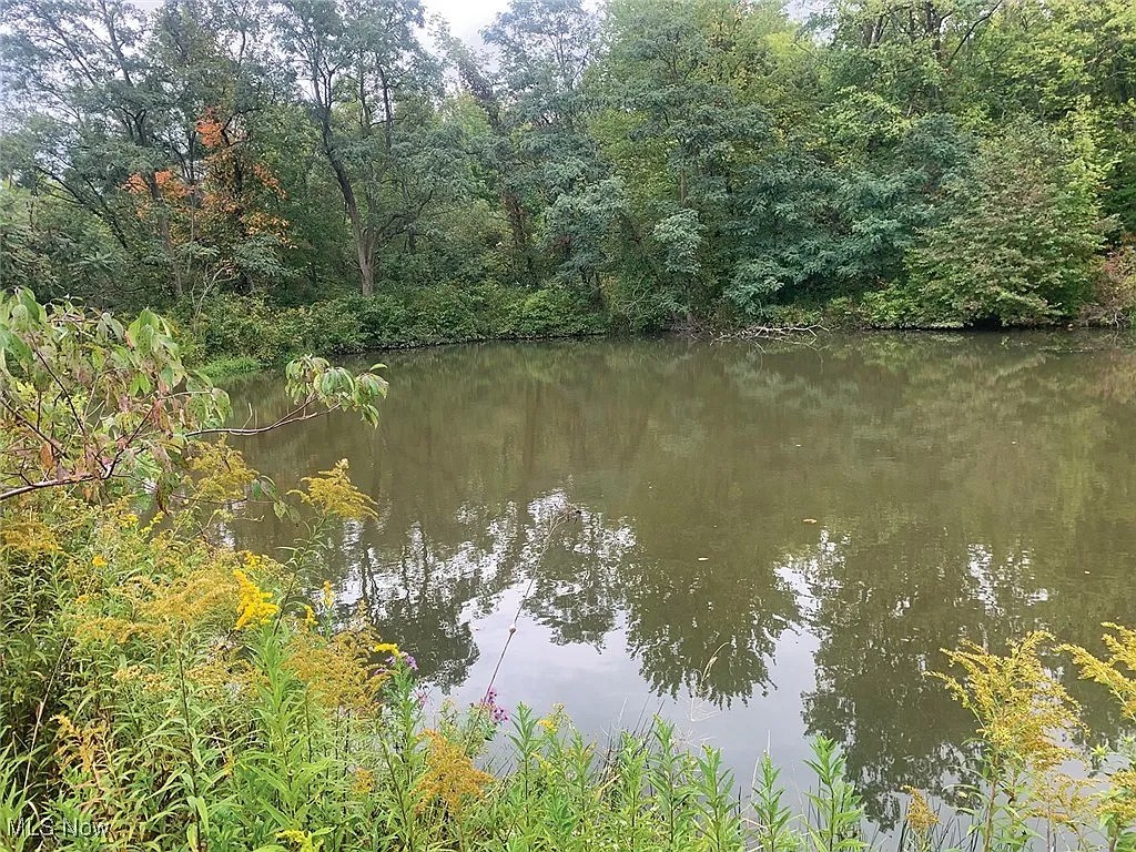 Auction Sale Expansive Hunting Farmland on 142 Acres Adorable Living