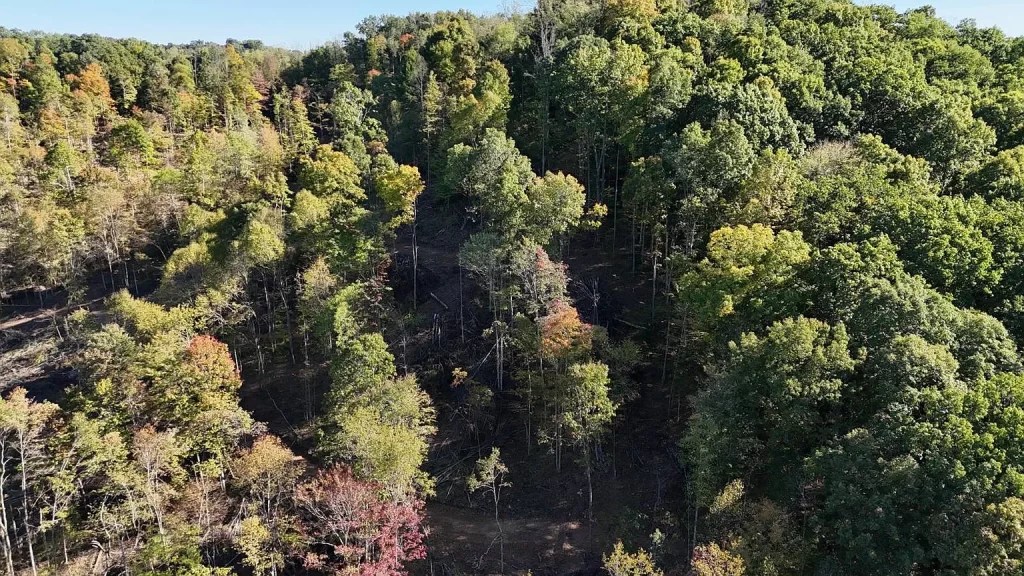 Auction Sale Rustic Home on 41+ Acres with Multiple Building Sites