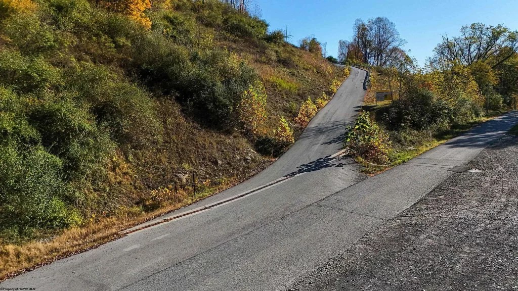 Secluded Wooded Lot with Road Frontage & Endless Potential (103,000