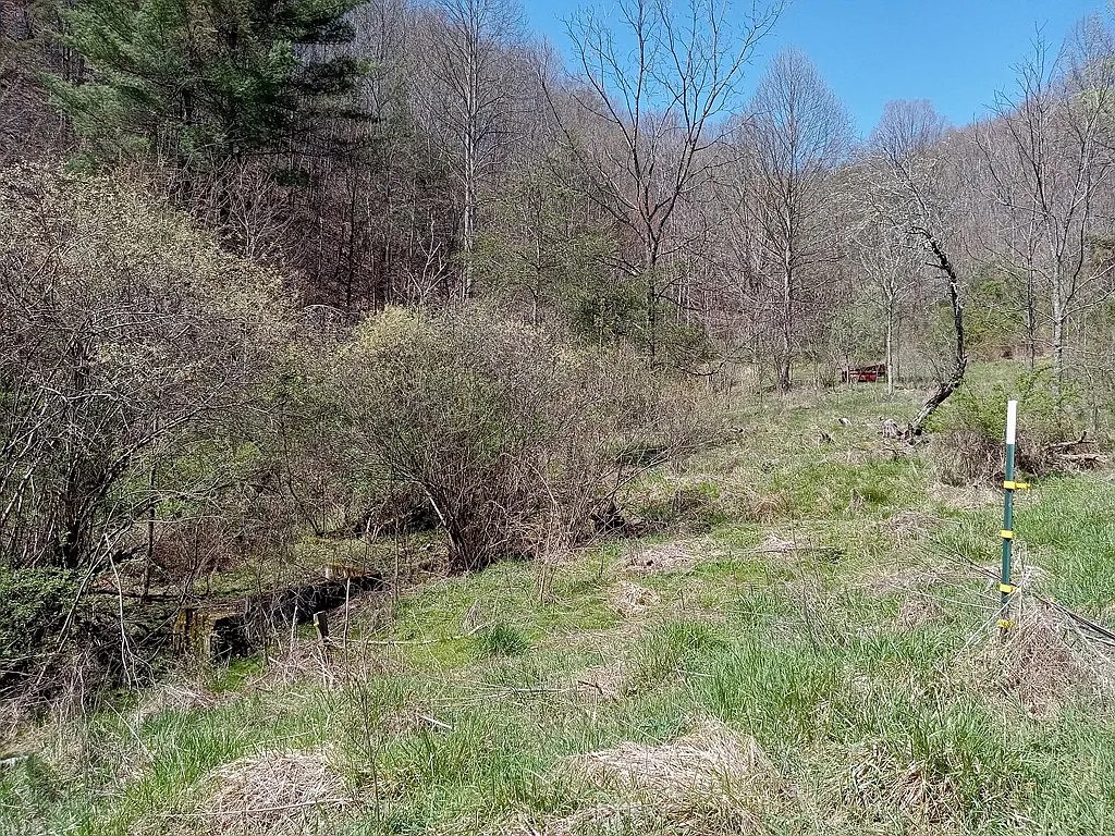 Expansive Farmhouse with Untouched Potential on 89 Acres. 225,000